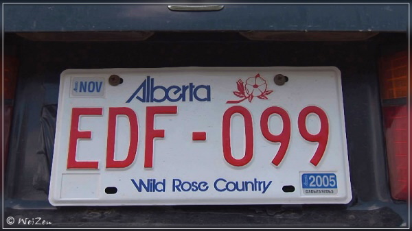 Licence Plate Alberta