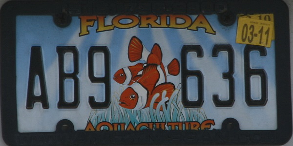 Licence Plate Florida