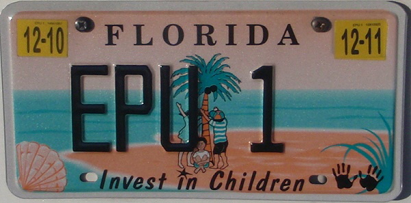 custom license plate florida check