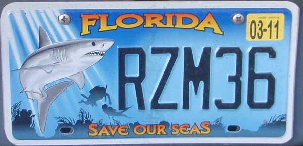 Licence Plate Florida