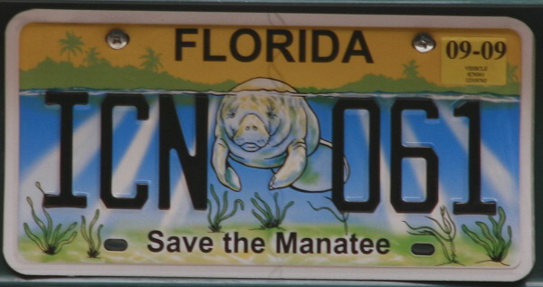 Licence Plate Florida