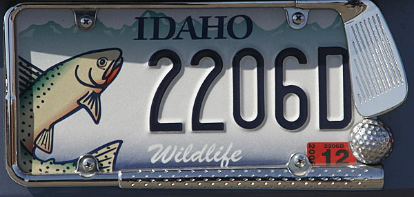 Licence Plate Idaho