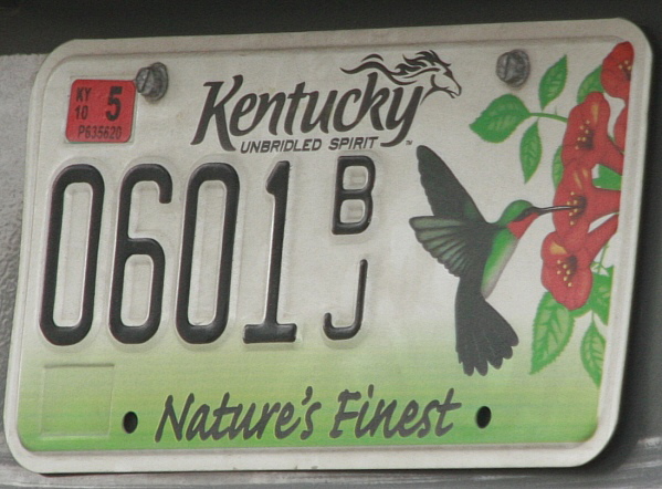 Licence Plate Kentucky