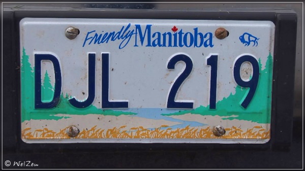 Licence Plate Manitoba