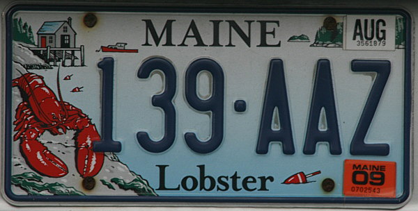 Licence Plate Maine