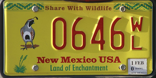 Licence Plate New Mexico