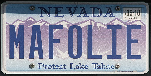 Licence Plate Nevada