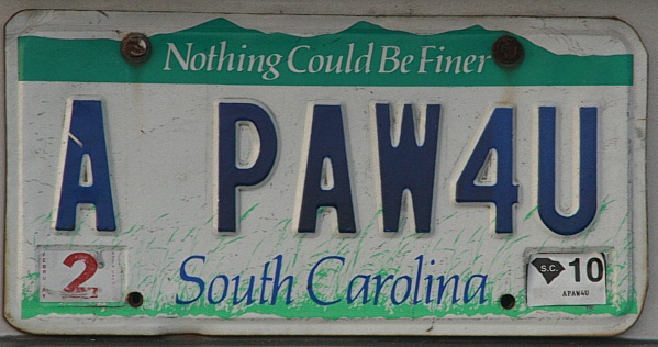 Licence Plate South Carolina