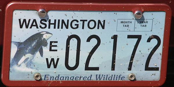 Licence Plate Washington