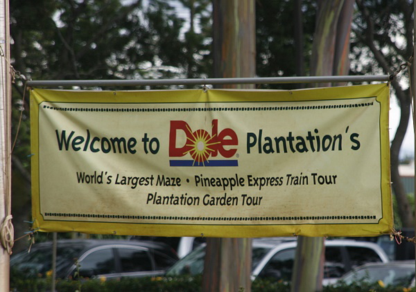 Dole Plantation