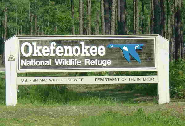 Okefenokee National Wildlife Refugee