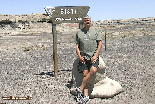 Bisti Wilderness Area