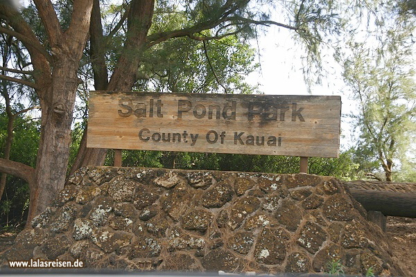 Salt Pond Park