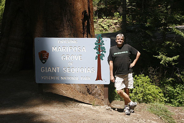 Mariposa Grove