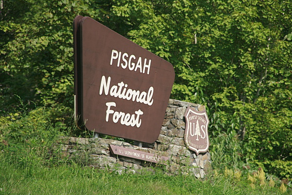 Pisgah National Forest