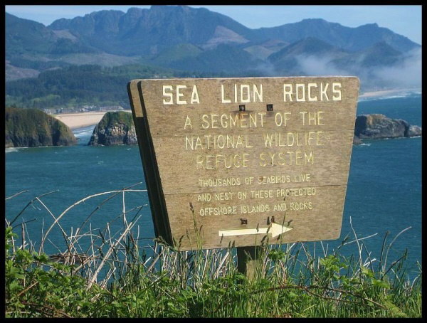 Sea Lion Rocks 