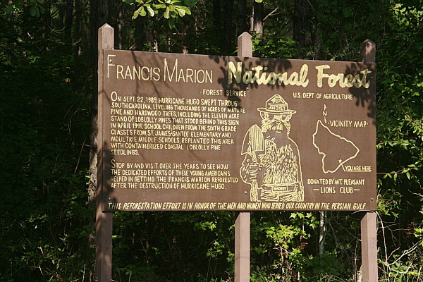 Francis Marion National Forest