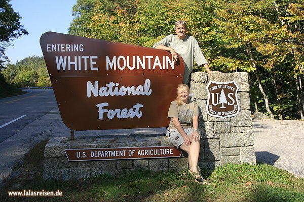 White Mountain National Forest