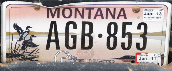 Licence Plate Montana