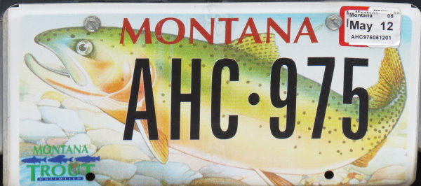 Licence Plate Montana