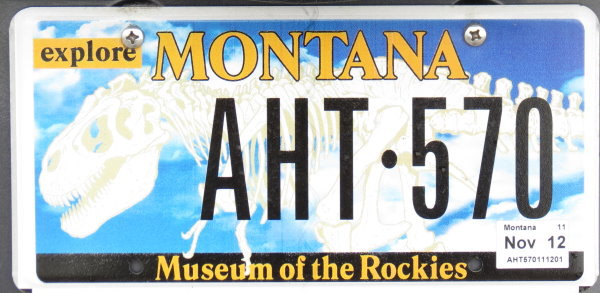 Licence Plate Montana