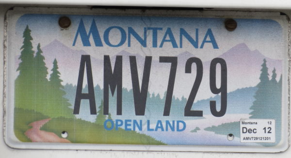 Licence Plate Montana