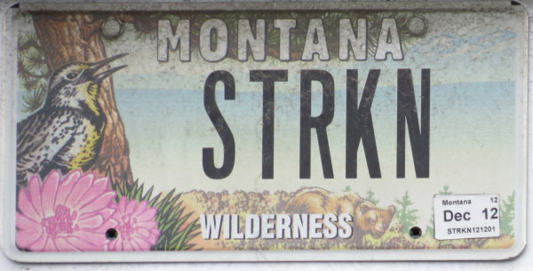 Licence Plate Montana