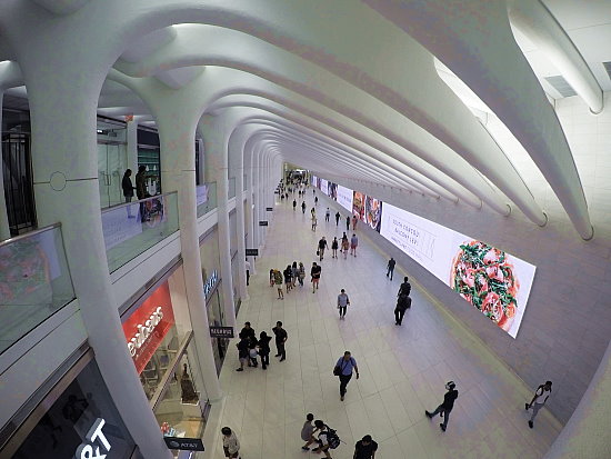 World Trade Center (PATH-Station) - Oculus