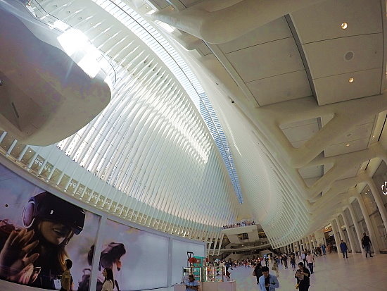 World Trade Center (PATH-Station) - Oculus