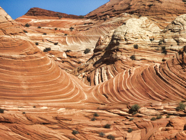 North Coyote Buttes