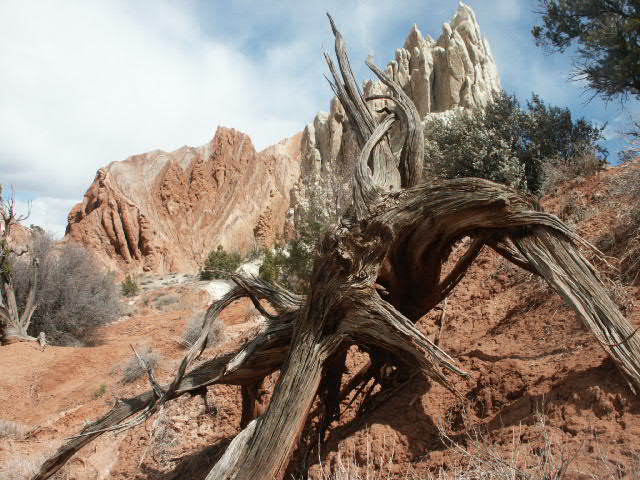 Cottonwood Canyon Road