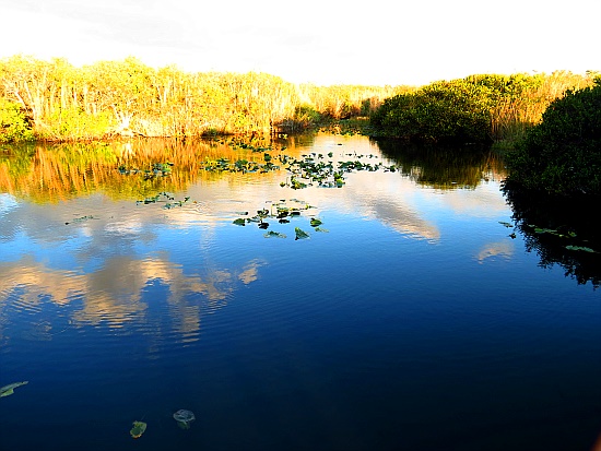 Everglades National Park - Anhinga Trail