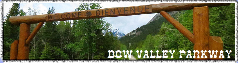 Bow Valley Parkway