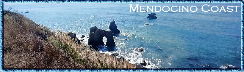 Mendocino Coast