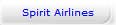 Spirit Airlines