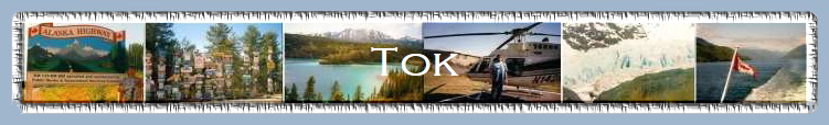 Tok