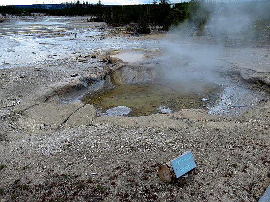 Veteran Geysir