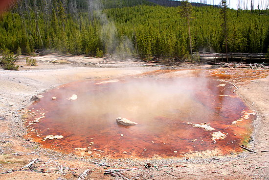 Echinus Geysir