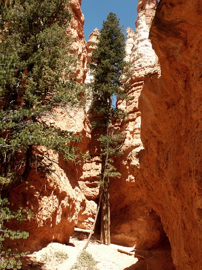 Bryce Canyon 