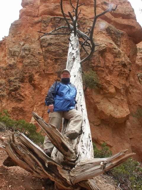 Bryce Canyon