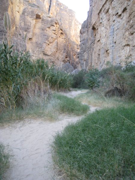 Big Bend NP