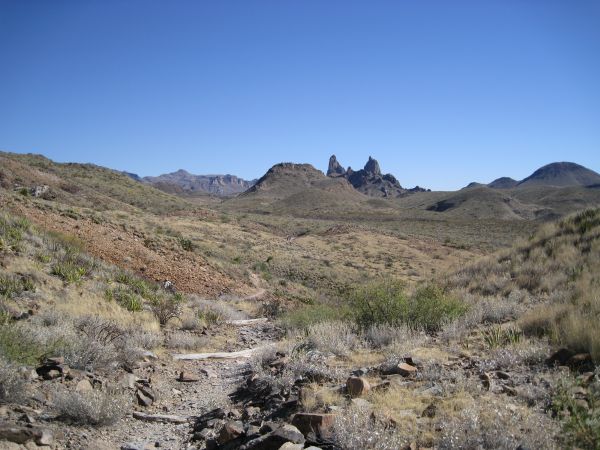 Big Bend NP