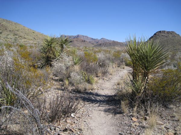 Big Bend NP