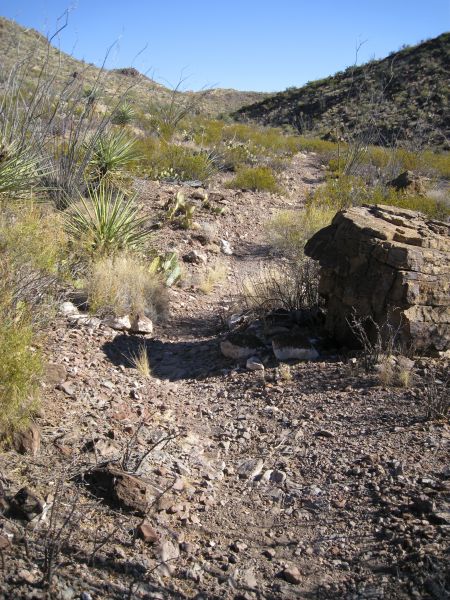 Big Bend NP