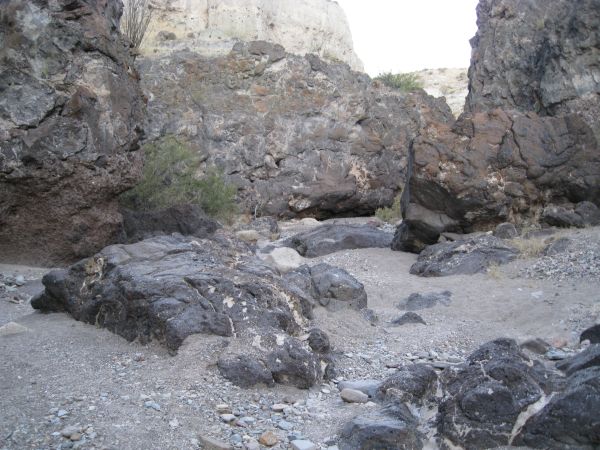 Big Bend NP