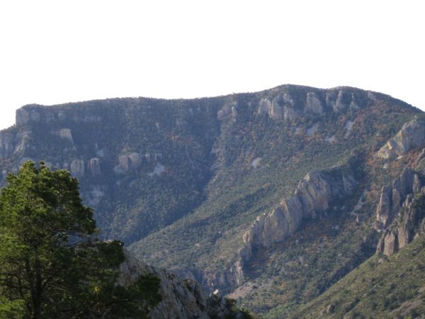 Emory Peak