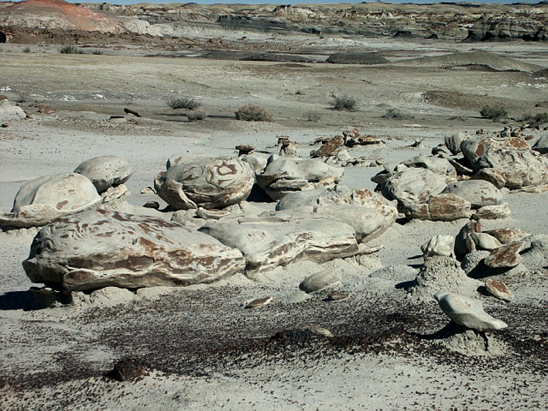 Bisti Wilderness Area cracked eggs