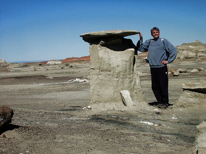 Bisti Wilderness Area