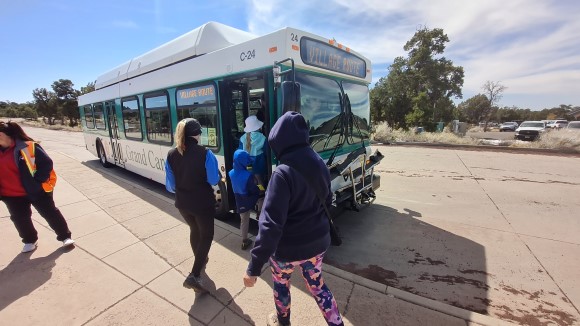 bluebus bluebus