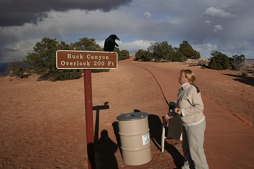 Buck Canyon Overlook